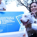 Hospital de mascotas