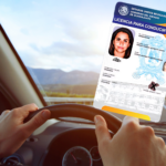 Licencias oficiales Guanajuato