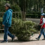 Recicla tu árbol