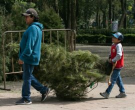 Recicla tu árbol