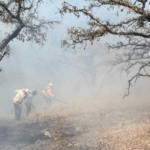 Incendio Sierra Agustinos