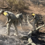Incendio en Jerécuaro