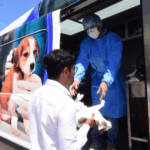 Esterilización gratuita Irapuato