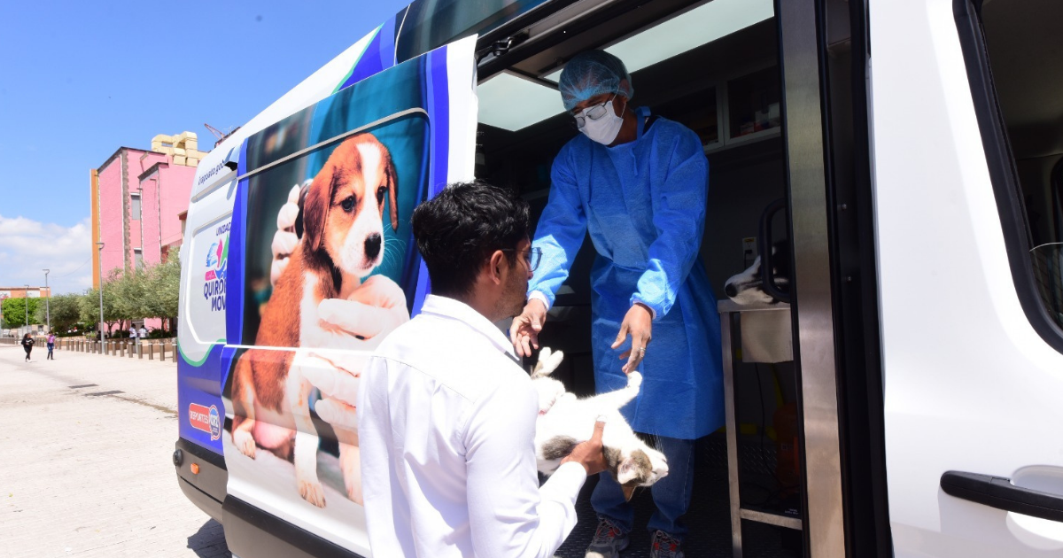 Esterilización gratuita Irapuato