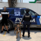 Figo detecta marihuana 80x80