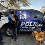Perro K9 FSPE