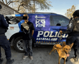 Perro K9 FSPE