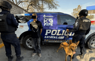Perro K9 FSPE