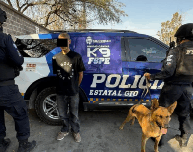 Perro K9 FSPE