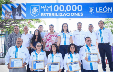 Esterilización gratuita León