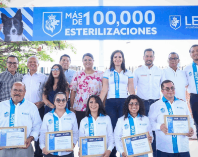 Esterilización gratuita León