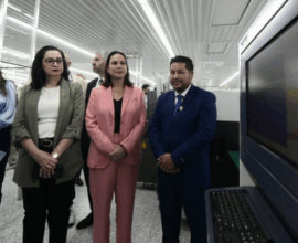 Inversiones extranjeras Irapuato