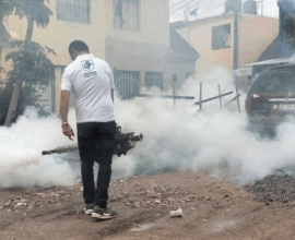 Prevención del dengue