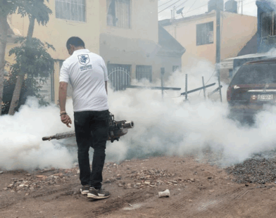 Prevención del dengue