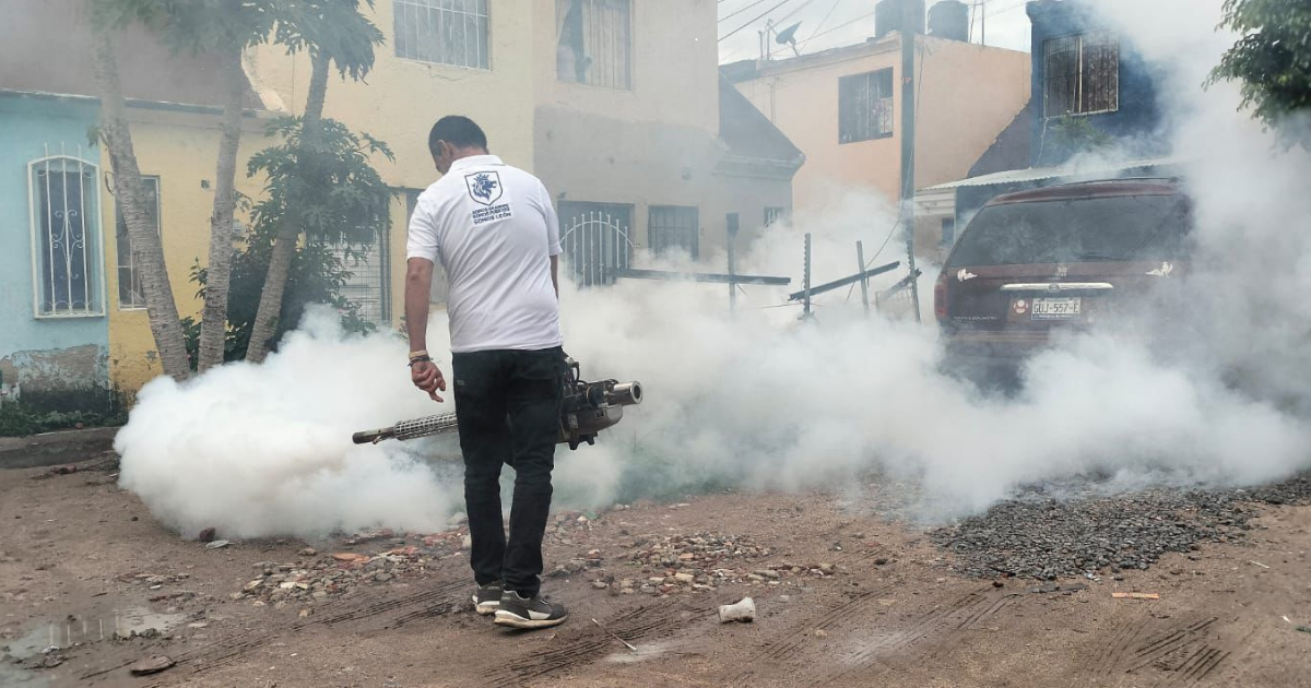 Prevención del dengue