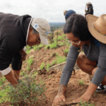 Reforestación en Purísima