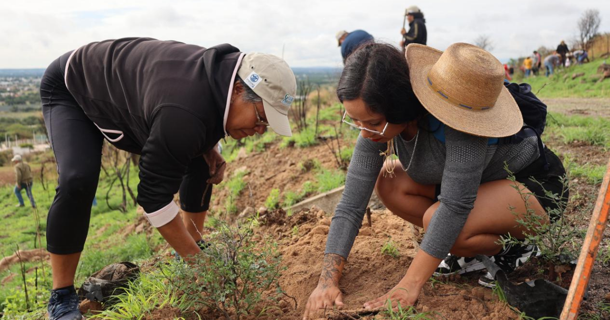 Reforestación en Purísima