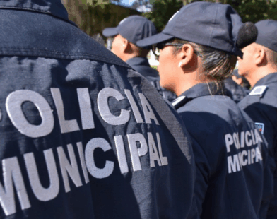 Seguridad en Irapuato