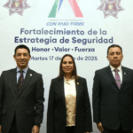 Seguridad en Irapuato