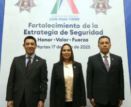 Seguridad en Irapuato