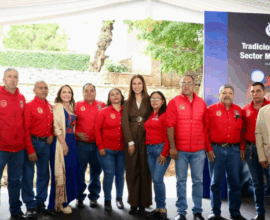 sector minero Guanajuato