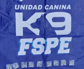 K9 detecta droga