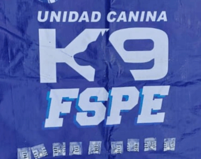 K9 detecta droga