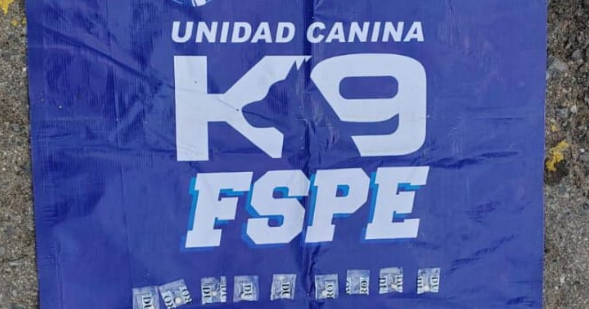 K9 detecta droga