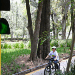 Movilidad segura infantil