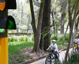 Movilidad segura infantil