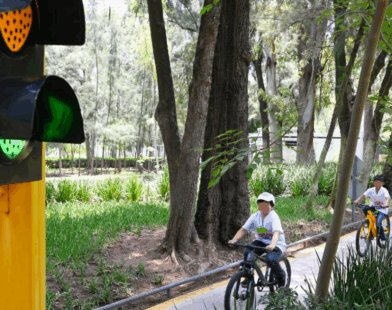 Movilidad segura infantil