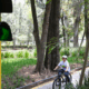 Movilidad segura infantil 80x80