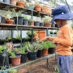Verano Ecológico Irapuato