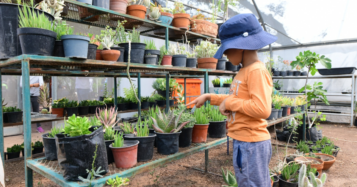 Verano Ecológico Irapuato