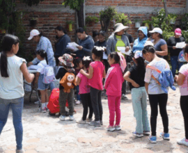 Cursos de verano Irapuato
