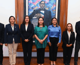 Irapuato 27 resultados