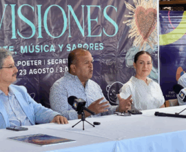 Viñadas Valle de Guadalupe