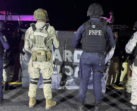 Seguridad en Irapuato