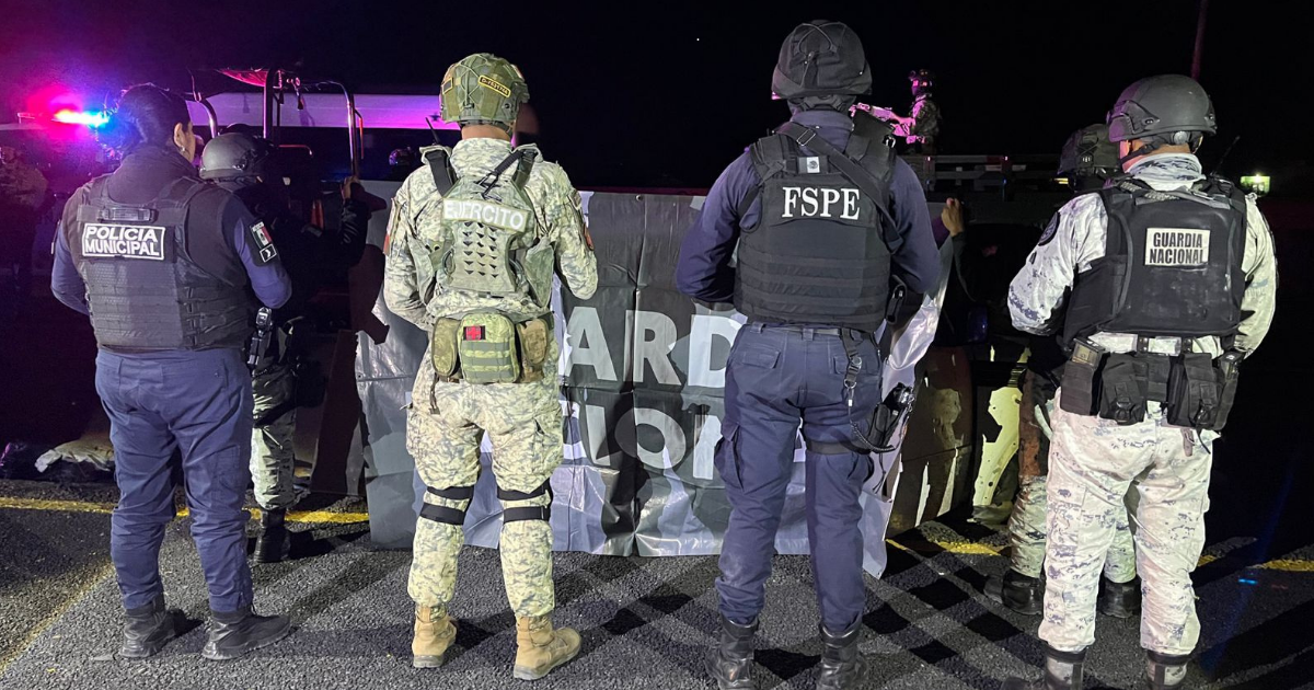 Seguridad en Irapuato