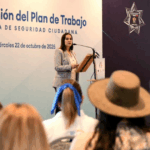 Plan de Seguridad Irapuato