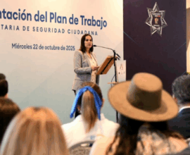 Plan de Seguridad Irapuato