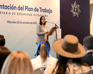 Plan de Seguridad Irapuato