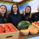 Expo Agroalimentaria Guanajuato