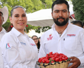 Festival de la Fresa