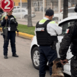 Seguridad en Irapuato