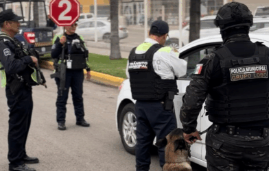 Seguridad en Irapuato