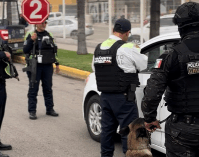Seguridad en Irapuato