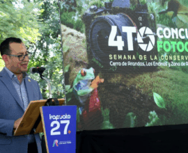 Conservación Irapuato