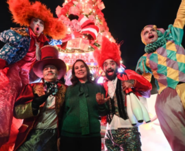 Navideña Villa 2025