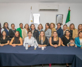 Seguridad en Irapuato